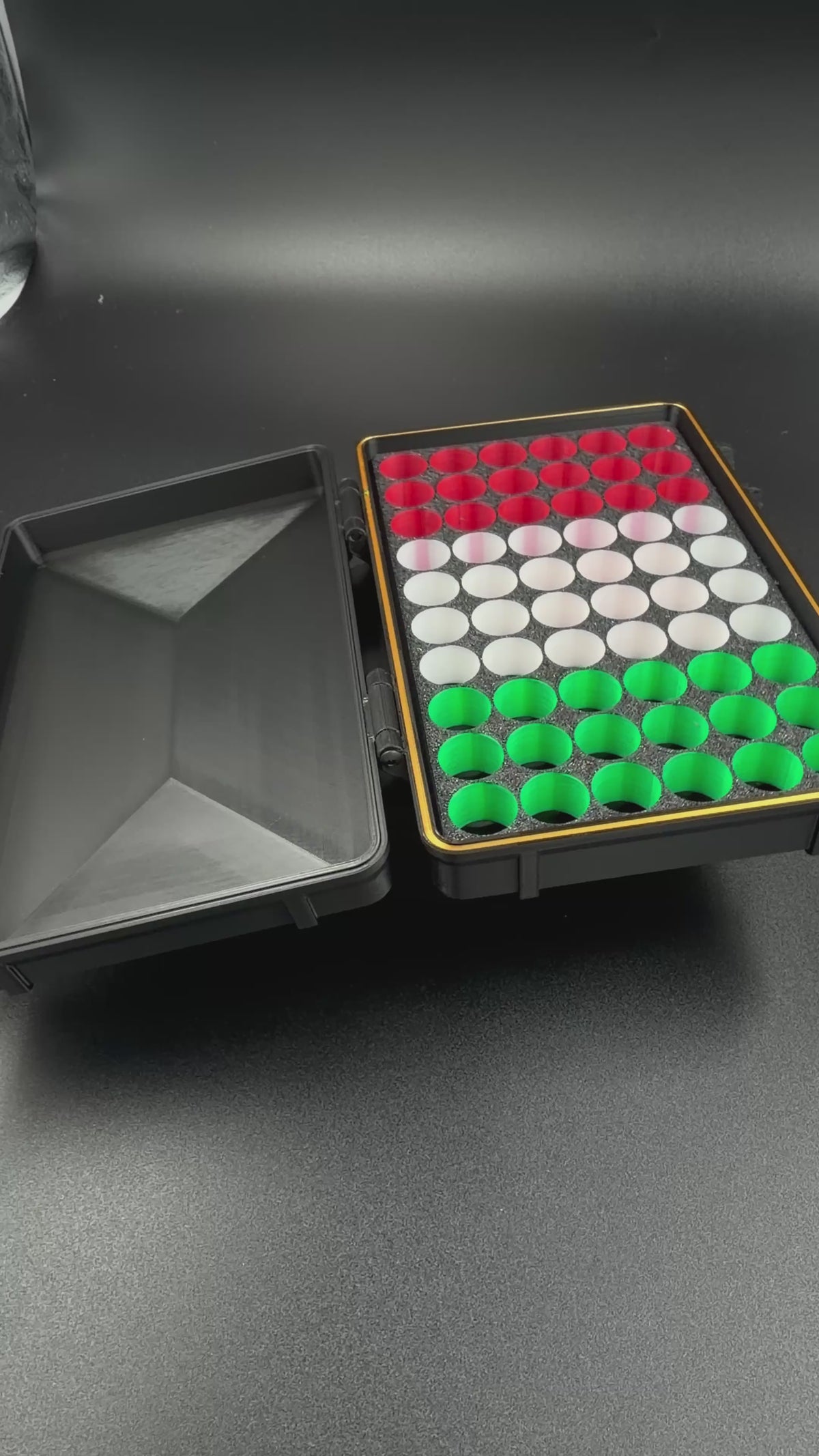 Universal Micro Needling Storage Case: Free engravings